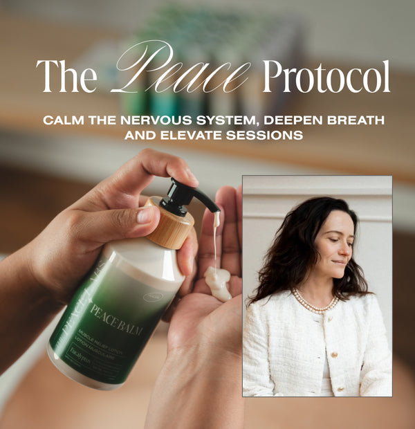 The Peace Protocol Course